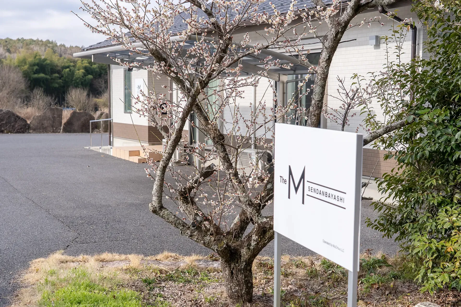 Exterior of The M Sendanbayashi behind a flowering tree